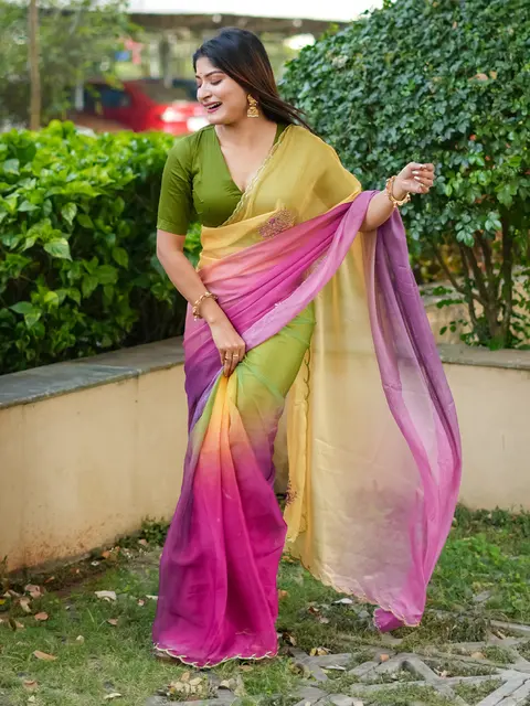 Sunset ombré organza saree