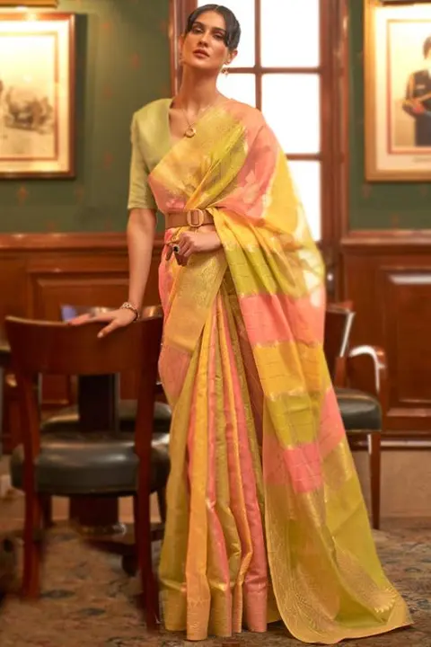 Pastel multicolour organza saree